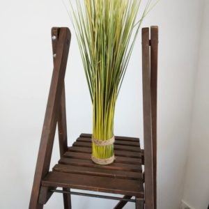 Plante verte sur escabeau en bois