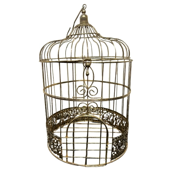 Cage-a-oiseaux-couleur-dore-original