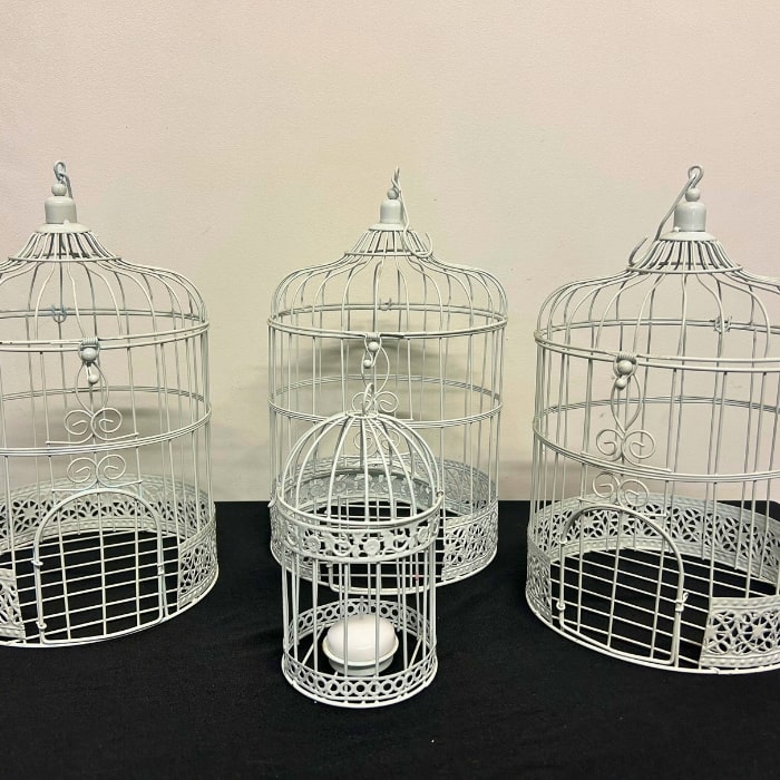 Cages-a-oiseaux-blanches